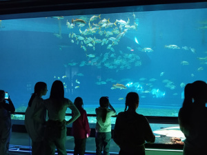 Важное знакомство с нашими соседями по планете!