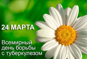 День белой ромашки