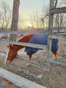 Наш верный помощник к зиме готов!