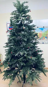 Новогодняя красавица в гости к нам пришла!