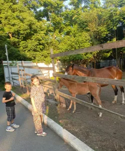 Обязательно порекомендую ваш центр для всего своего окружения!
